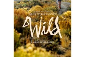 Poster affiche du film Wild