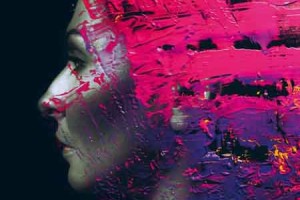 Steven Wilson Hand. Cannot. Erase. jaquette Hand Cannot Erase cover