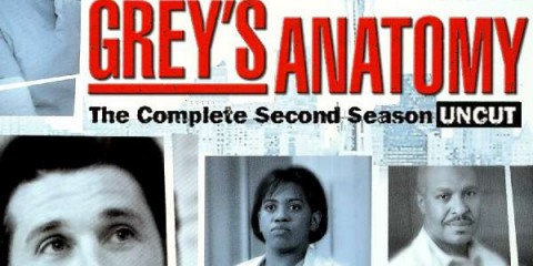 Couverture de la pochette DVD de la saison 2 de Grey's anatomy