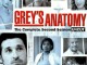 Couverture de la pochette DVD de la saison 2 de Grey's anatomy