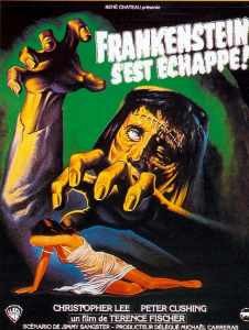 image affiche frankenstein s'est échappé