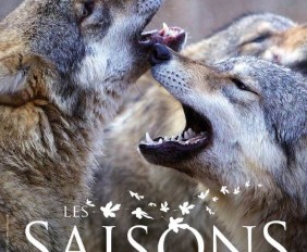 affiche du film les saisons