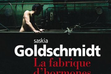 couverture du livre la fabrique d'hormones de saskia goldschmidt