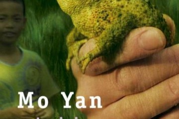 Couverture du roman La Joie de Mo Yan