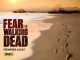 Poste de la série Fear The Walking Dead.